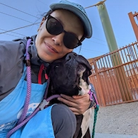 Animals neutered icon